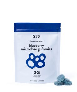 Blueberry Gummies 100mg
