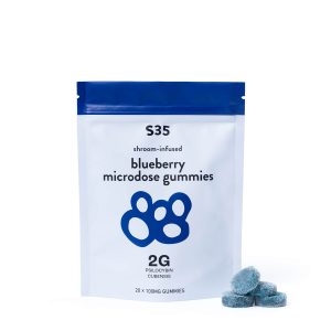 Blueberry Gummies 100mg