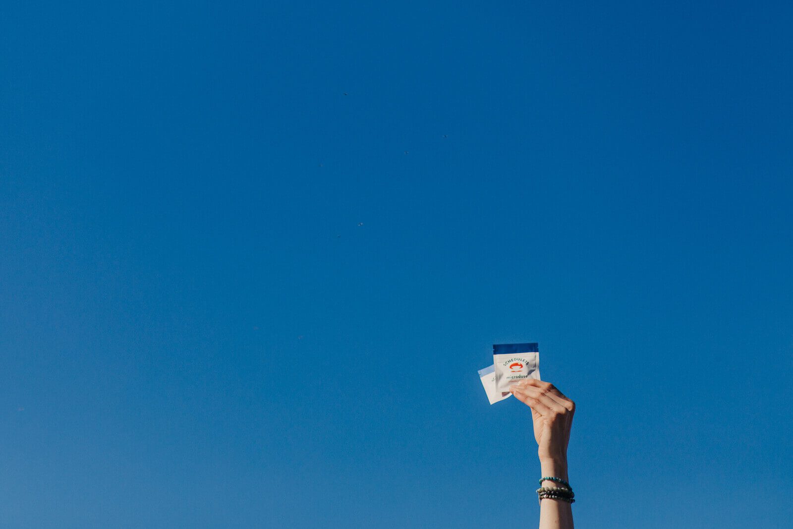 magic shroom bars schedule35